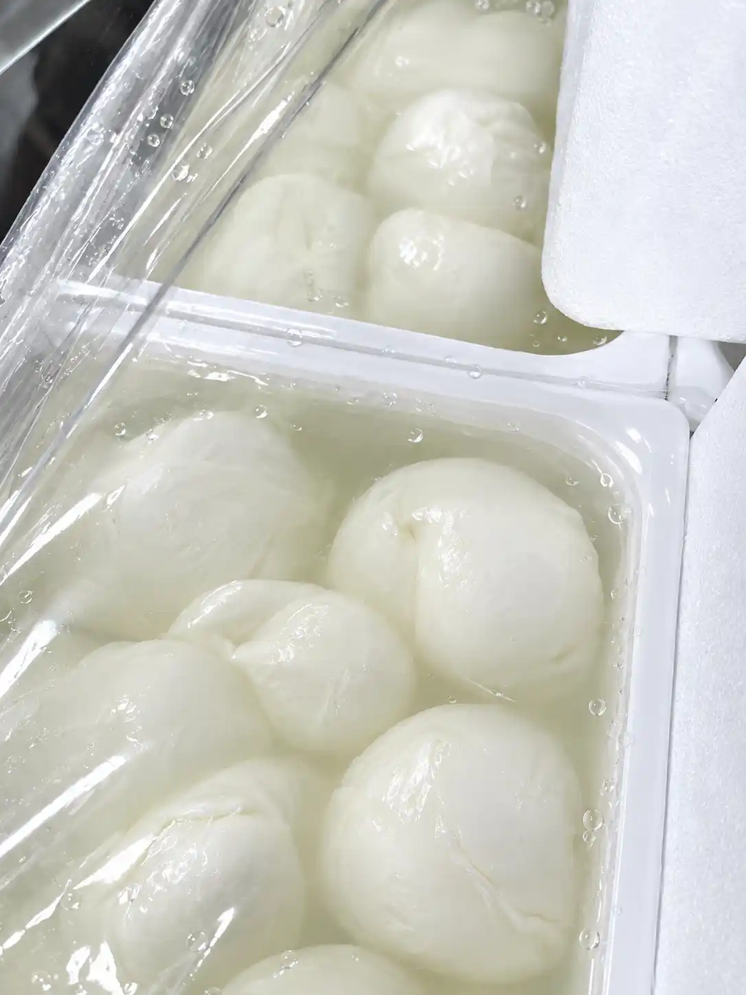 Mozzarella e latticini freschi